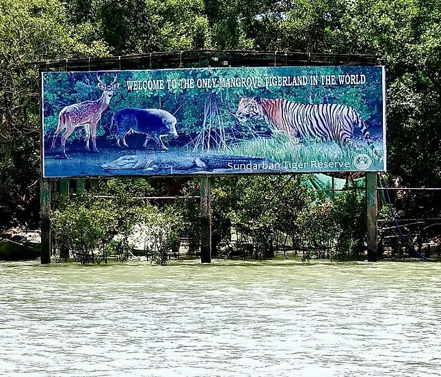 হাইকোর্টের