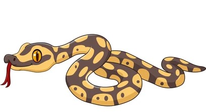 ময়াল