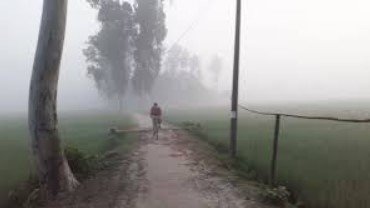 শীত