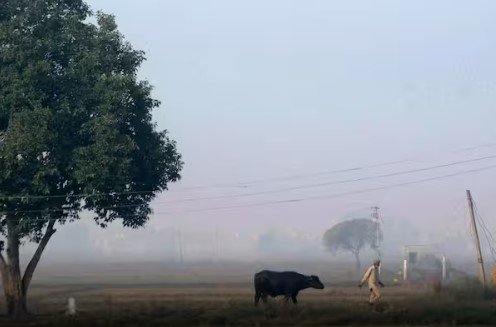 নিম্নচাপে