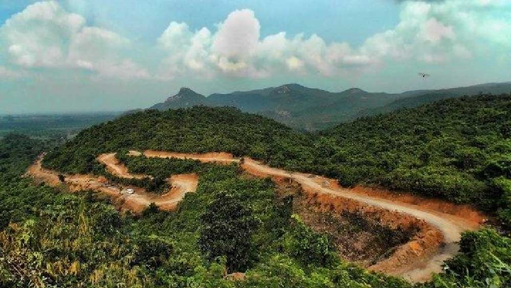 উত্তর