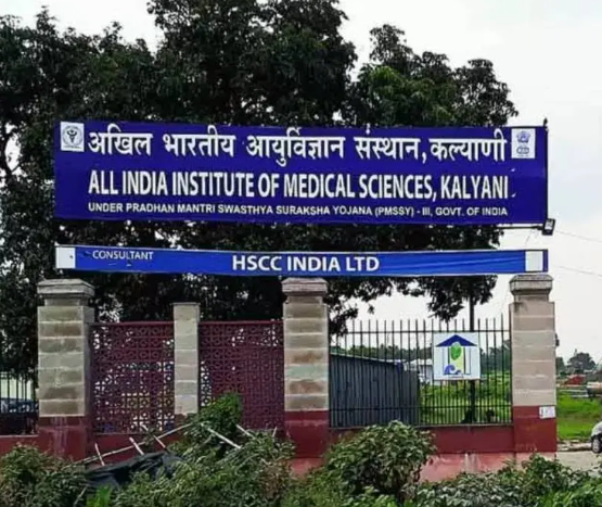 দুর্নীতিতে