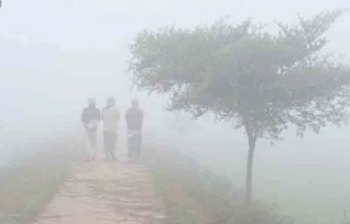 দিনে