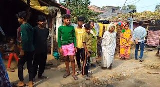 গরু