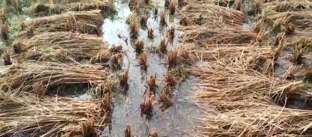 জলের