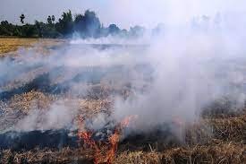 পুড়ে