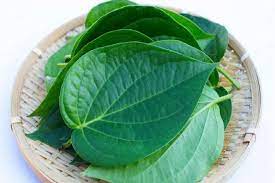 সর্দি