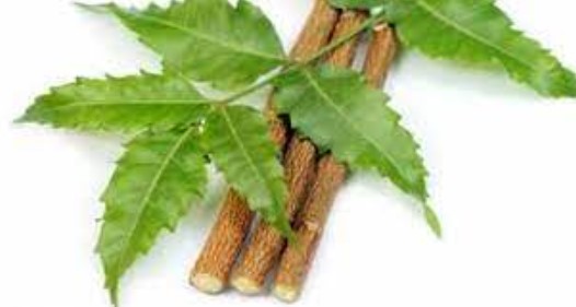 নিমডাল
