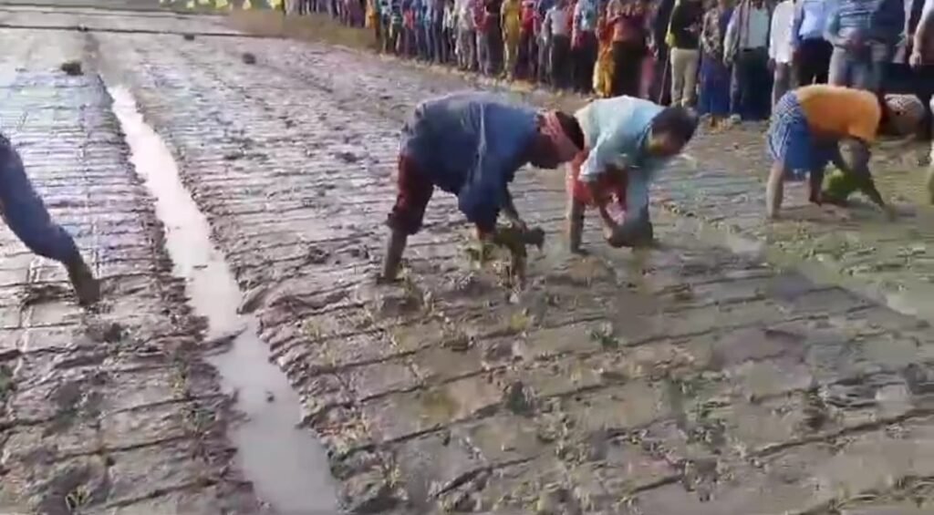 নির্ভর