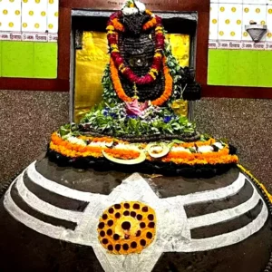the-shivling-of-kashi-is-still-growing