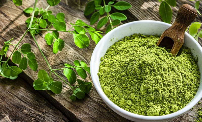 moringa is a miracel medicine