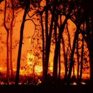 A terrible fire in Chile