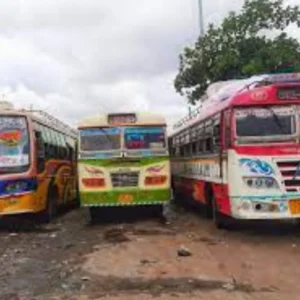 New bus