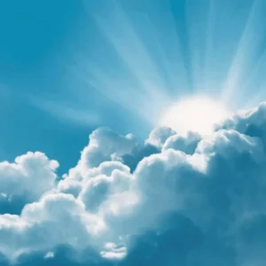Today's Weather