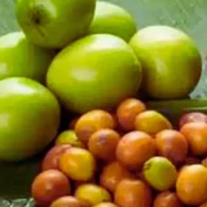 Jujube Fruit