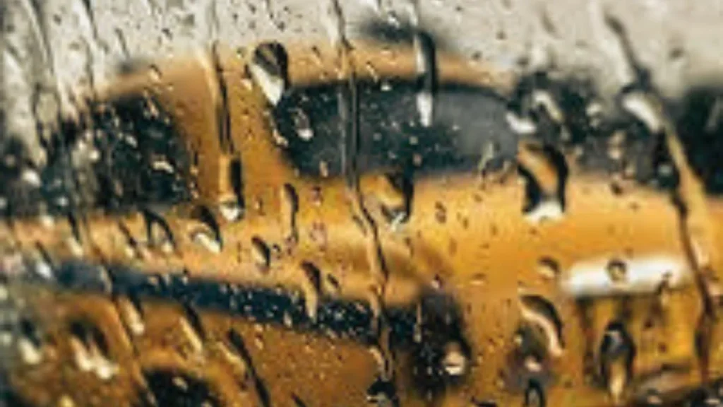 rain