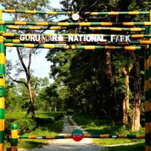 gorumara national park