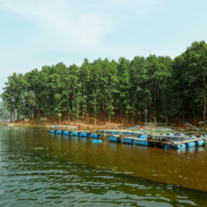 ghure ashi chandil dam