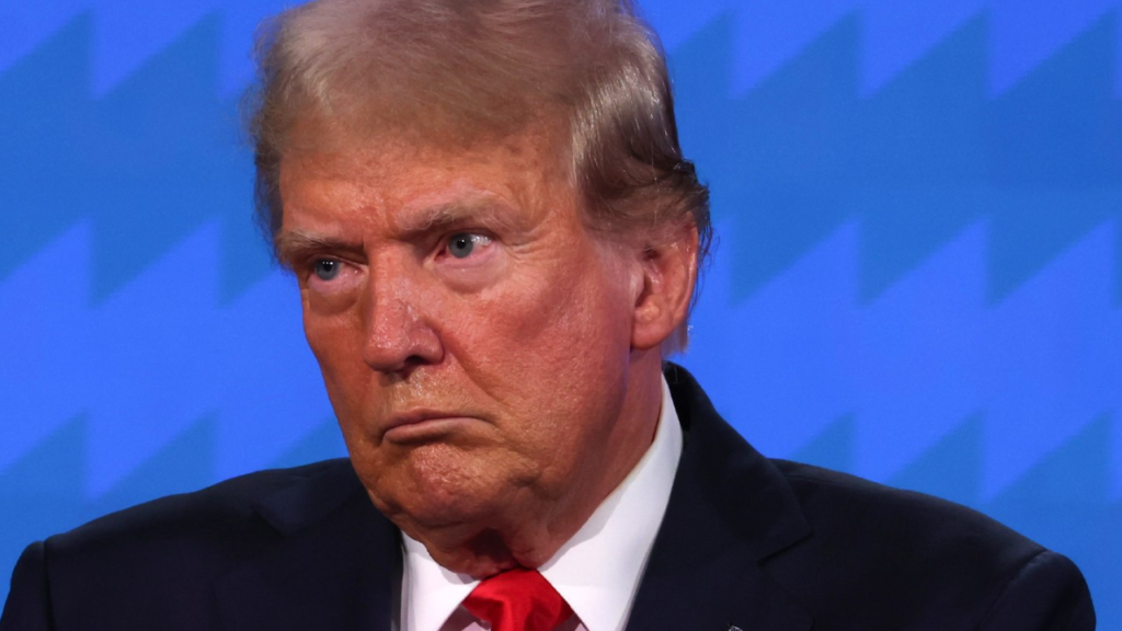 donald trump photo