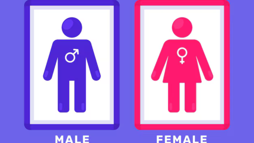 male and female