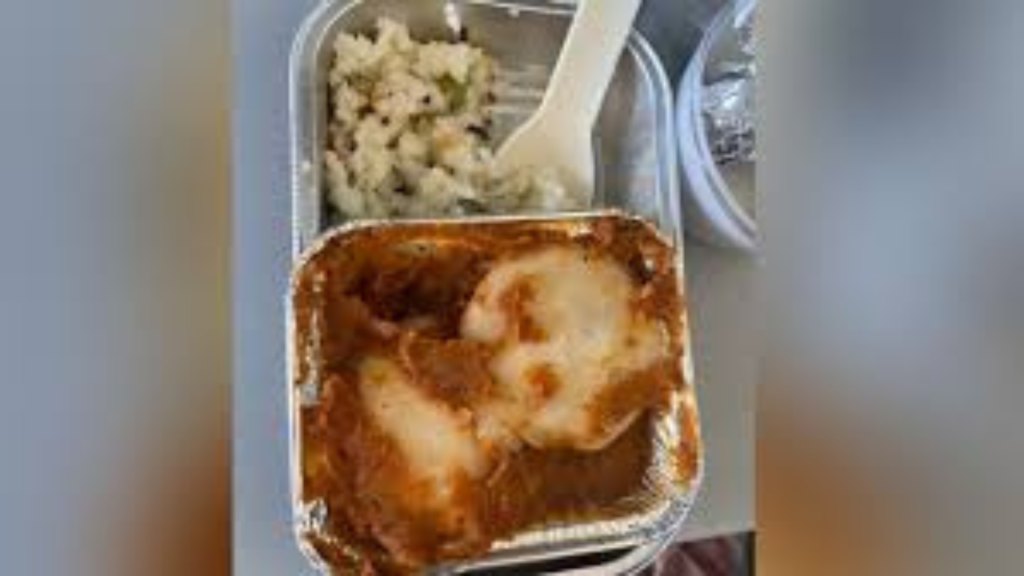 passenger-shares-horrifying-experience-on-flight-food-infested-with-cockroach