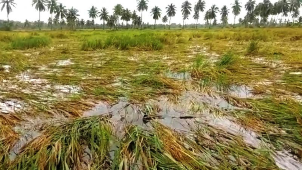 bhagirathi-river-flooding-farmer-losses-assistance