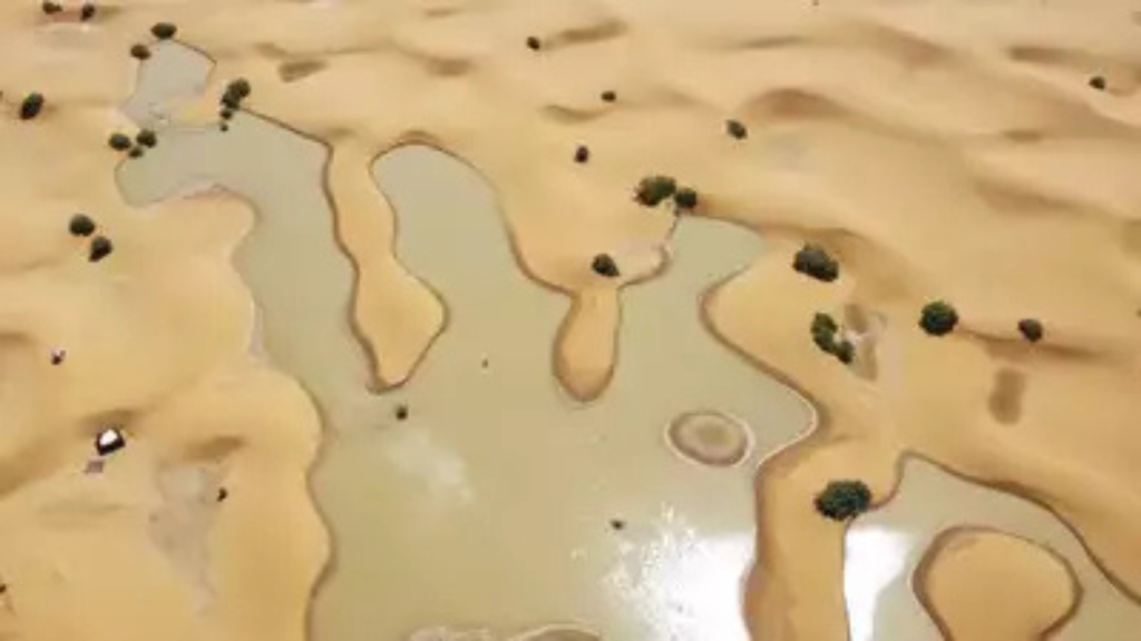 sahara-desert-rainfall-impact