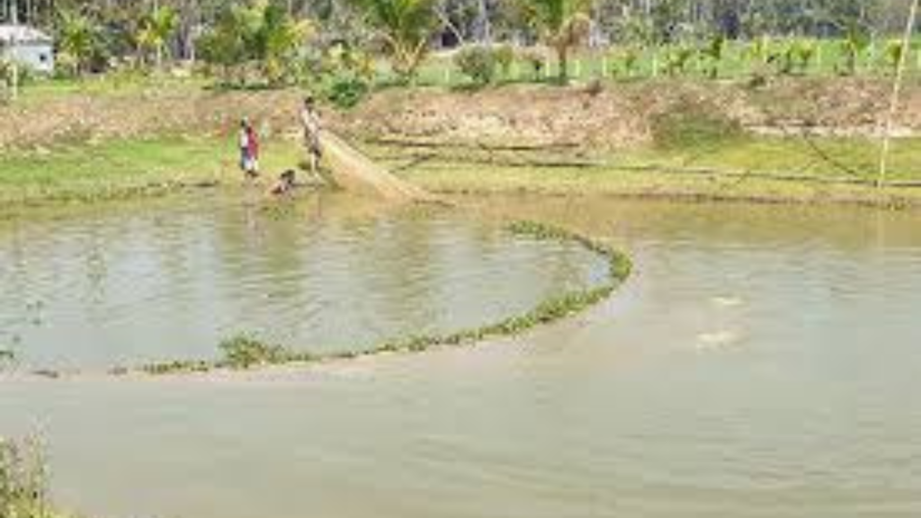 পুকুরে