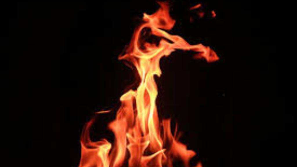 কৃষ্ণনগরে ছাত্রীর অগ্নিদগ্ধ মৃত্যু
