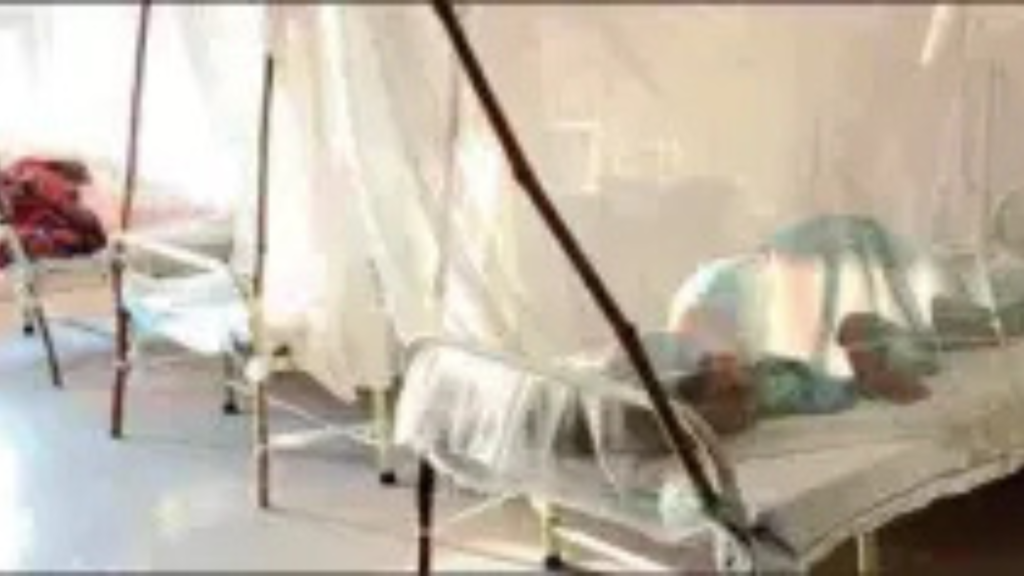 চিকুনগুনিয়ার