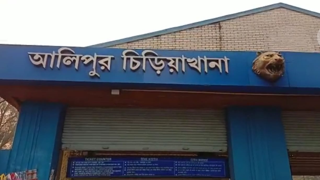 আলিপুর চিড়িয়াখানার নতুন আকর্ষণ