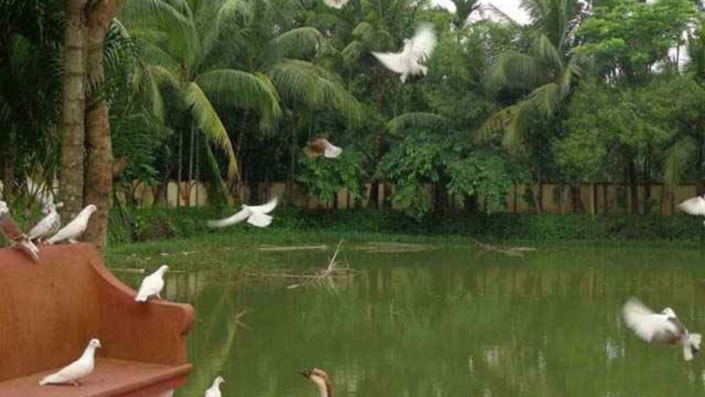 কলকাতার একেবারে কাছেই টাকির বিশ্রাম বাগানবাড়ি