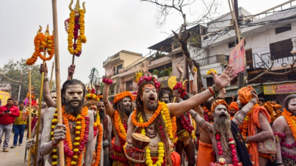 মহাকুম্ভ মেলায় নাগা সাধুদের তাণ্ডব?