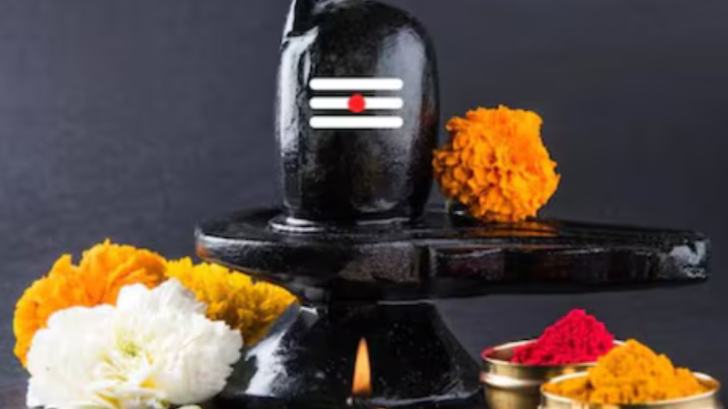 মহাশিবরাত্রিতে শিব পুজো কিভাবে করলে আপনি পাবেন আপনার কাঙ্ক্ষিত বর ?
