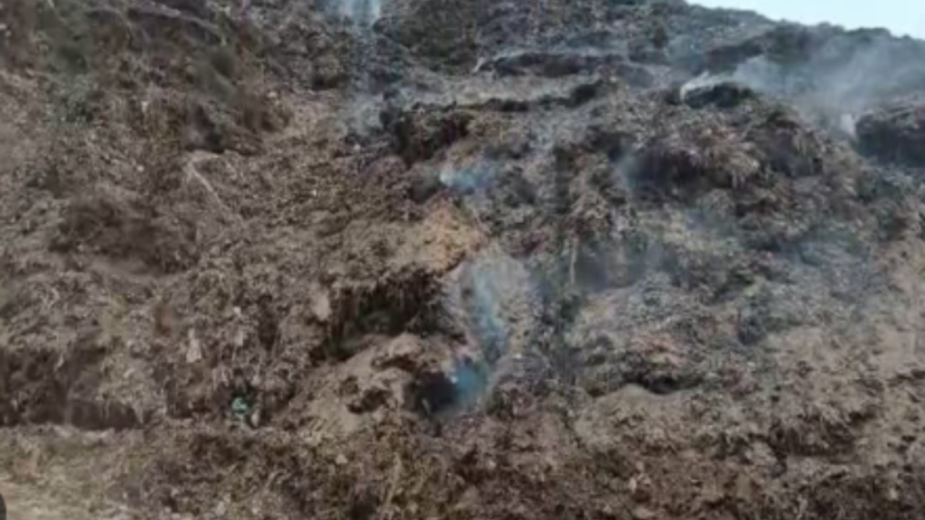 কলকাতা শহরের অন্যতম বড় বর্জ্য ফেলার স্থান ধাপায় বড় বিপদের আশঙ্কা