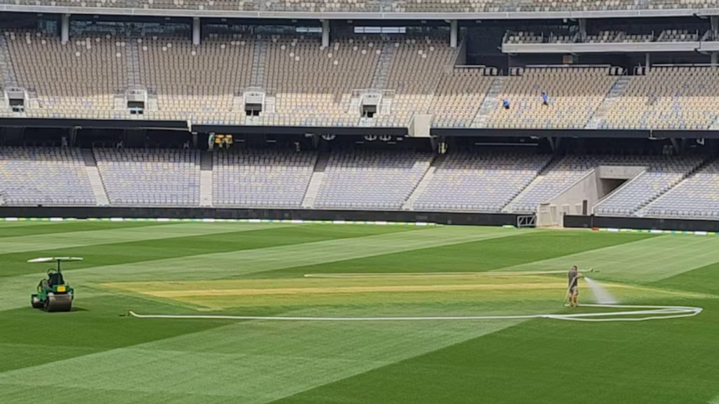empty cricket pitch