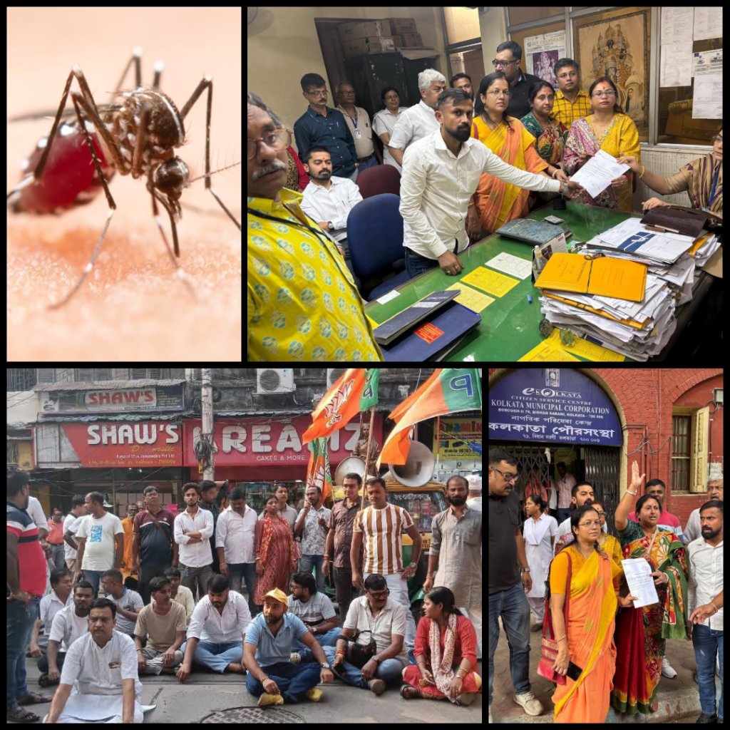 dengue in kmc