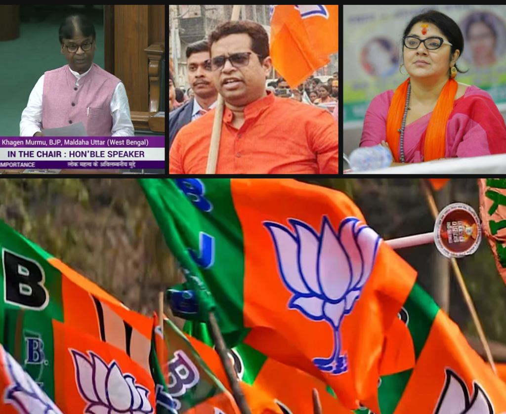 new bjp state committee