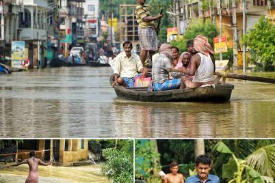 1726840668_dg-collage01-1.jpg
