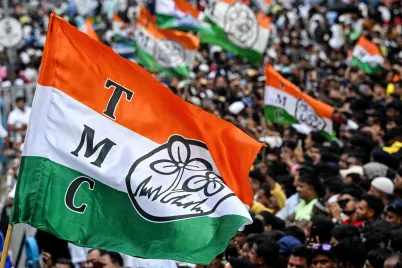 All-India-Trinamool-Congress-TMC-Party-Flag-Kolkata-West-Bengal-India-1.webp