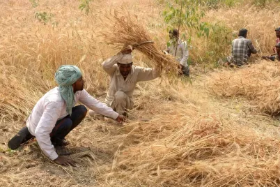 MNREGA-workers-file.webp