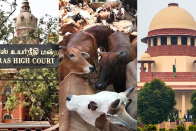 Madras-HC_-Cow-slaughter_-Supreme-Court.webp