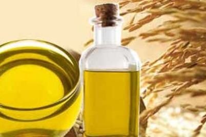 Rice-Bran-Oil-বা-চালের-কুড়ার-তেল-500x264-1.jpg