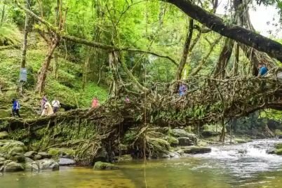 Riwai-Living-Root-Bridge-Mawlynnong-Living-Root-Bridge-in-Meghalaya-northeast-india.jpg