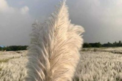 Screenshot-2023-10-19-120139.jpg