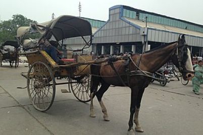 Tanga_in_Saharnpur.jpg