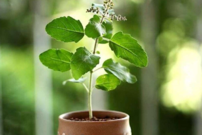 Untitled-design-2024-11-08T113346.471.png