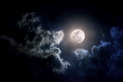 Untitled-design-2024-11-15T095107.571.png