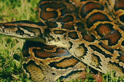 Untitled-design-2024-12-05T165756.088.png