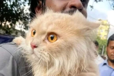 Untitled-design-55.png